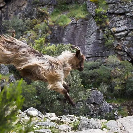 Maison De Caractere, Pierre Seche, Galeria, Pour 2 Vakantiehuis