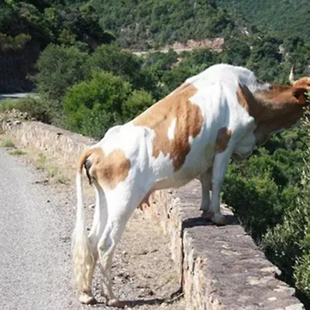 Maison De Caractere, Pierre Seche, Galeria, Pour 2 *