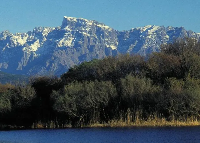 Maison De Caractere, Pierre Seche, Galeria, Pour 2 Prázdninový dům Galeria (Corsica)
