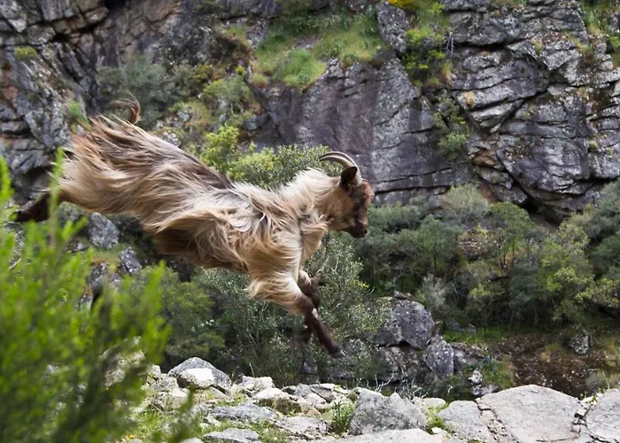 Maison De Caractere, Pierre Seche, Galeria, Pour 2 Prázdninový dům