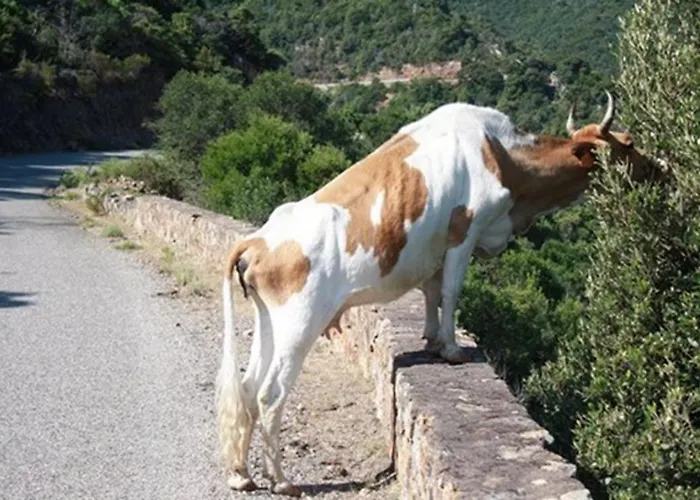 Maison De Caractere, Pierre Seche, Galeria, Pour 2 *